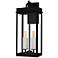 Carmen 2-Light Matte Black Outdoor Wall Lantern