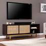 Carondale 63" Wide Brown and Natural Wood Media Cabinet