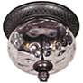 Carriage House Collection 12" Wide Ceiling Light