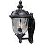 Carriage House Collection 16" High Outdoor Wall Light