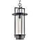 Carroll Park 24" High Bronze Outdoor Hanging Light