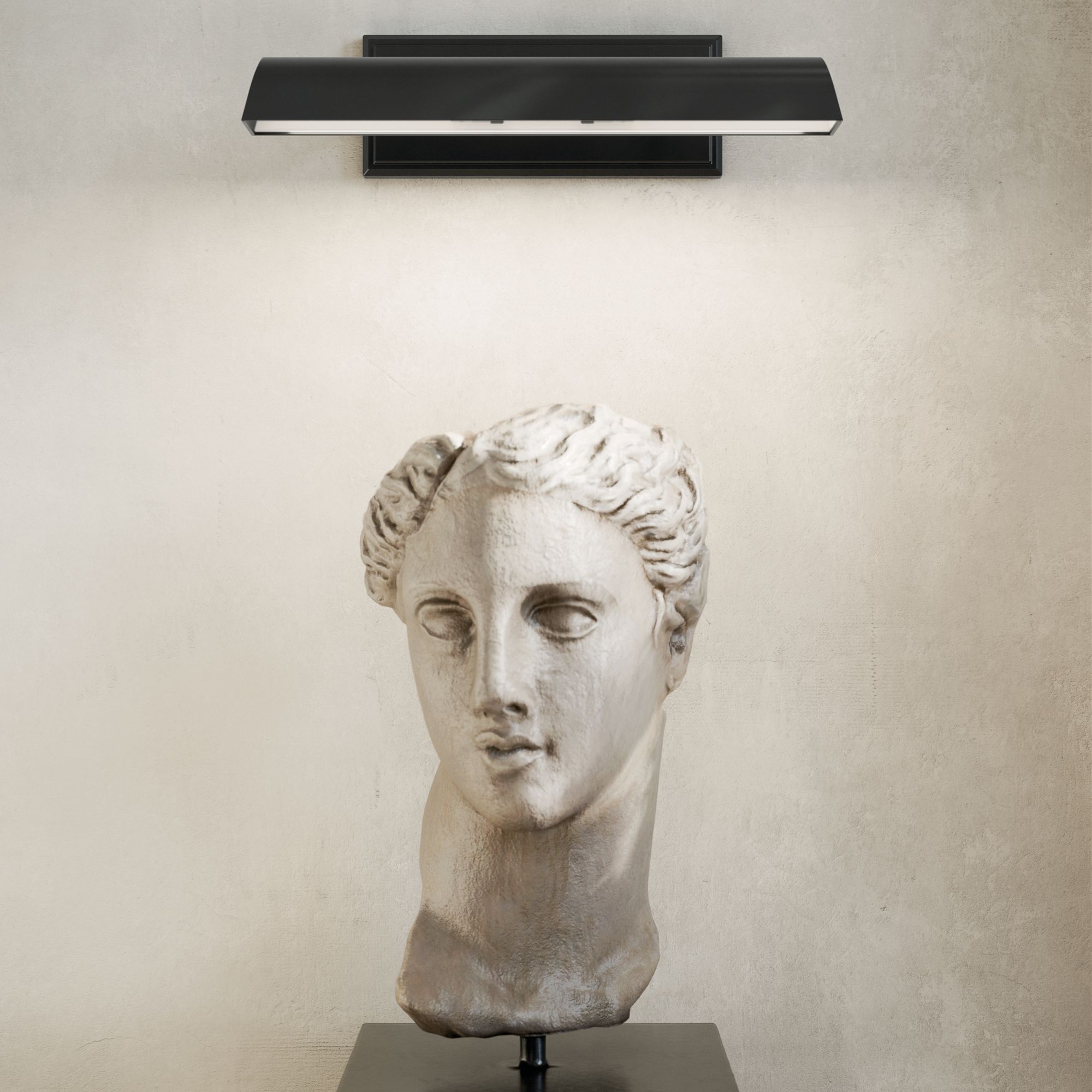 Carston Black Picture Light 2Lt