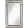 Carthage Champagne and Black 29 1/4" x 46" Wall Mirror