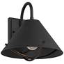 2_Cartwright 11" High Black Outdoor Wall Barn Light