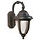 Casa Sierra™ 14 1/2" High Bronze Traditional Outdoor Wall Light