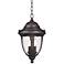 Casa Sierra™ 16  1/2” High Outdoor Hanging Lantern