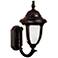 Casa Sorrento™ 14 3/4" High Bronze Outdoor Wall Light