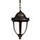 Casa Sorrento™ 16 1/2” High Outdoor Hanging Fixture