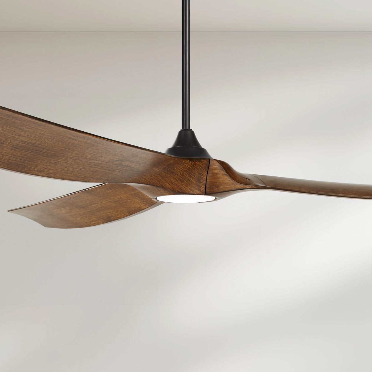 Casa Vieja KONA WIND Black Collection