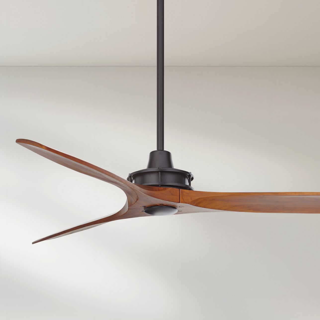 Casa Vieja WINDSPUN Black Collection