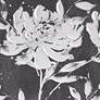 Cassia Floral 20 3/4" White Black White 2-Piece Wall Art Set
