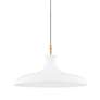 Cassidy 21" Wide Aged Brass and Soft White Pendant Light