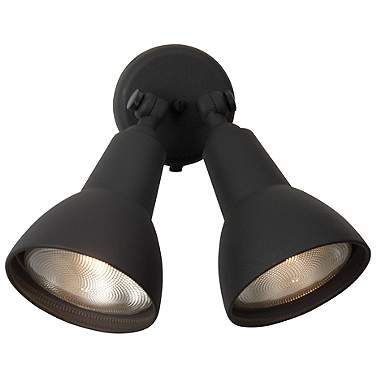 Cast Black Two-Head Adjustable Outdoor Security Flood Light