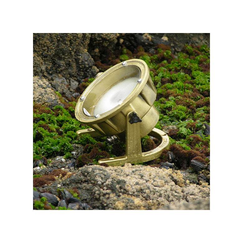 Image 2 Cast Brass LED Underwater Landscape Light more views