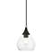 Catania 1 Light Black with Brushed Nickel Accents Mini Pendant