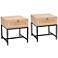Caterina 19 3/4" Wide Rattan and Wood Modern Nightstands Set of 2