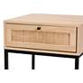 Caterina 19 3/4" Wide Rattan and Wood Modern Nightstands Set of 2