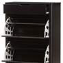 Cayla 27" Wide Black 1-Drawer Shoe Cabinet