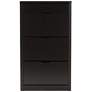 Cayla 27" Wide Black 1-Drawer Shoe Cabinet