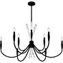 4_Cecily 9-Light Matte Black Chandelier more views