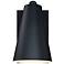 Cedar Mist Black Dark Sky Outdoor Hardwired Wall Sconce