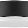 2_Cedric 12" Wide Black Ceiling Light by Hinkley Lighting more views