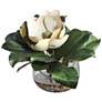 Celia White and Green Silk Magnolia 13"W Faux Flower in Vase