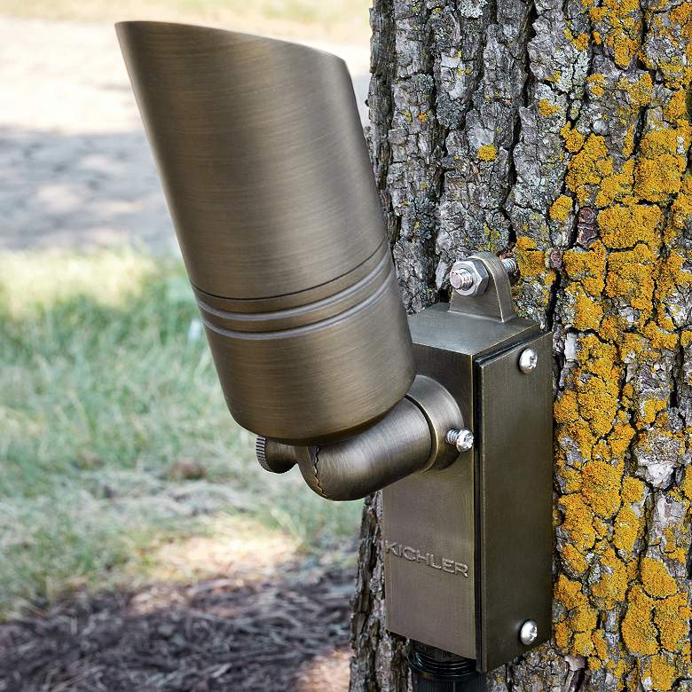 Image 3 Centennial Brass Tree Bracket more views