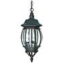 1_Central Park; 3 Light; 20 in.; Hanging Lantern with Clear Beveled Glass