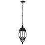 2_Central Park; 3 Light; 20 in.; Hanging Lantern with Clear Beveled Glass more views