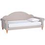 Chaise Light Gray Velvet Fabric Twin Size Daybed