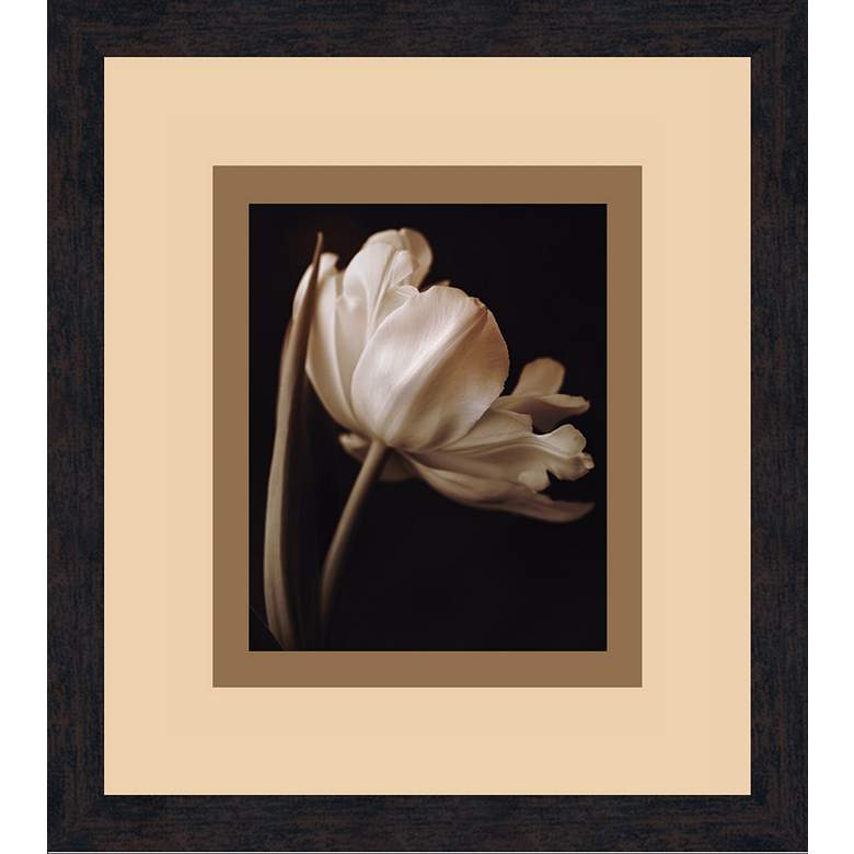 Image 1 Champagne Tulip A 18 1/2 inch High Wall Art