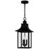 Chancellor 20 3/4"High Black 3-Light Outdoor Hanging Light