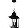 Chancellor 20 3/4"High Black 3-Light Outdoor Hanging Light