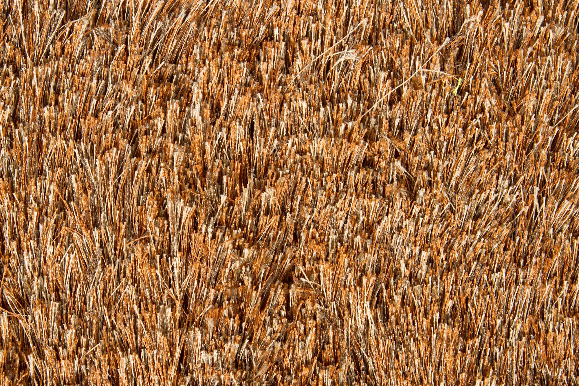 Thumbnail3 of Chandra Naya NAY18803 7'9"x10'6" Brown Shag Area Rug more views