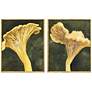 1_Chanterelle 25"W x 31"H Framed Art Set of 2