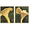 Chanterelle 25"W x 31"H Framed Art Set of 2
