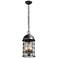 Charlemagne 17"H Aged Pewter Outdoor Hanging Light