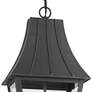 Chateau Grande 25" High Coal Outdoor Hanging Light