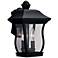 Chelsea 13"H 2-Light Clear Glass Black Outdoor Wall Light