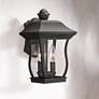 Chelsea 13"H 2-Light Clear Glass Black Outdoor Wall Light