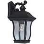 Chelsea 14 1/2" High Clear Glass Black Outdoor Wall Light