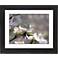 Cherry Blossoms Black Frame Giclee 23 1/4" Wide Wall Art