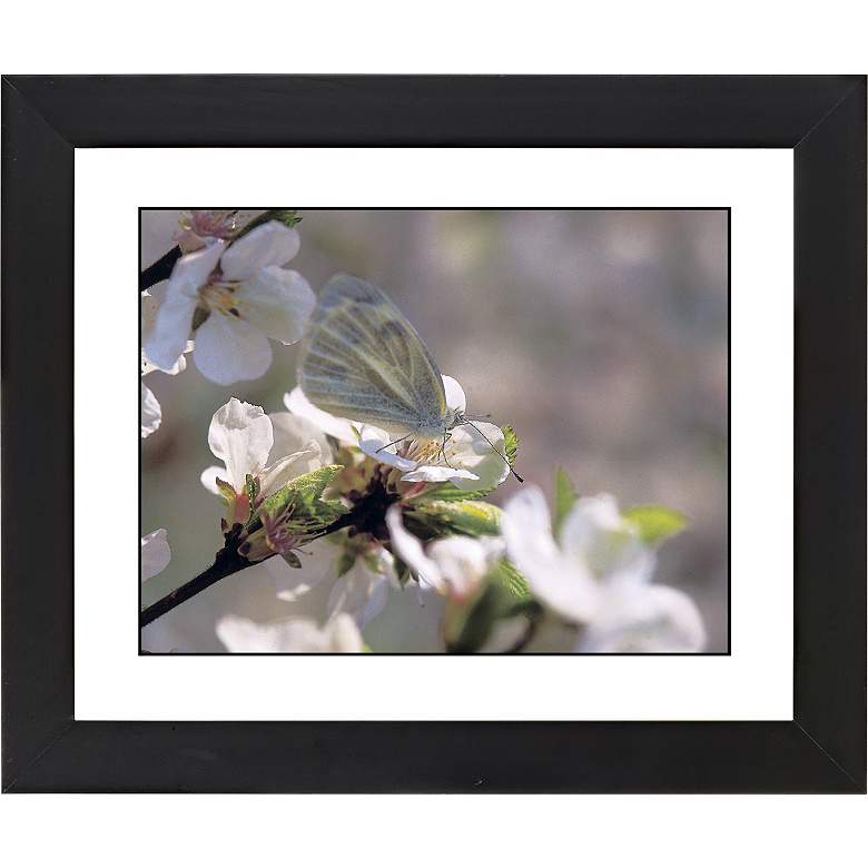 Image 1 Cherry Blossoms Black Frame Giclee 23 1/4 inch Wide Wall Art