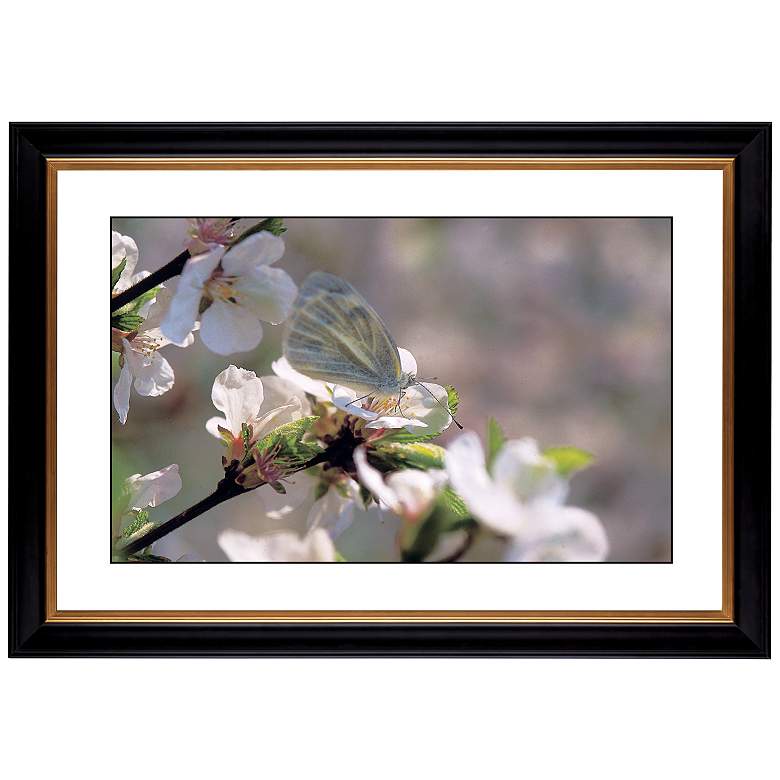 Image 1 Cherry Blossoms Giclee 41 3/8 inch Wide Wall Art