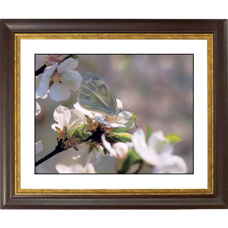 Image 1 Cherry Blossoms Gold Bronze Frame Giclee 20 inch Wide Wall Art