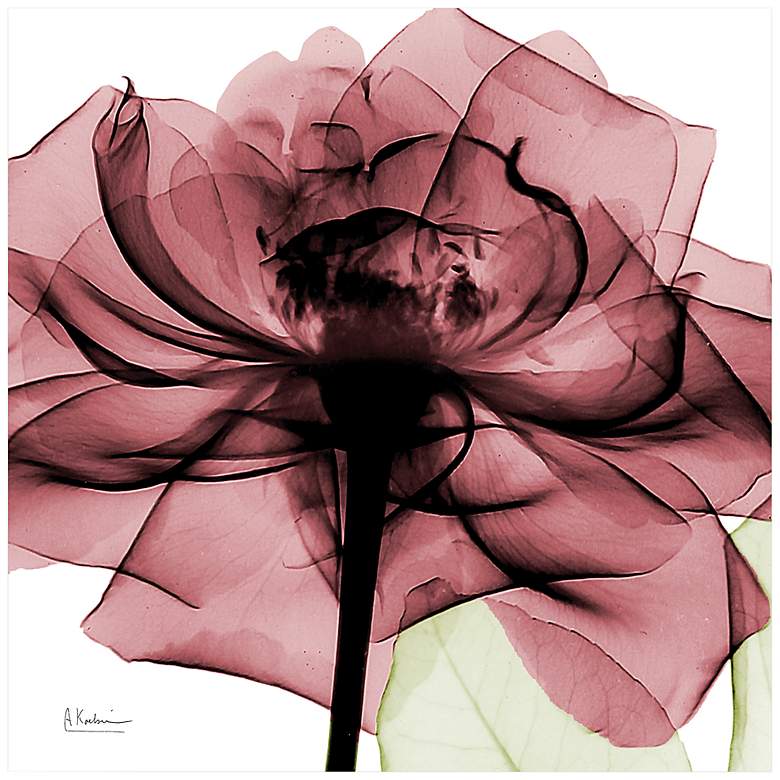 Image 2 Chianti Rose II 24" Square Printed Tempered Glass Wall Art