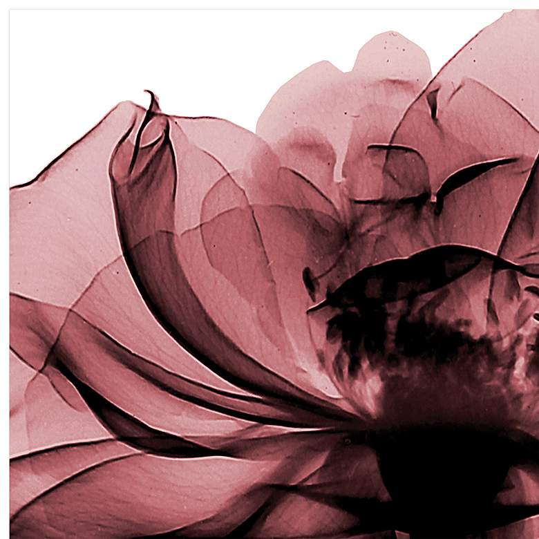 Image 3 Chianti Rose II 24" Square Printed Tempered Glass Wall Art more views