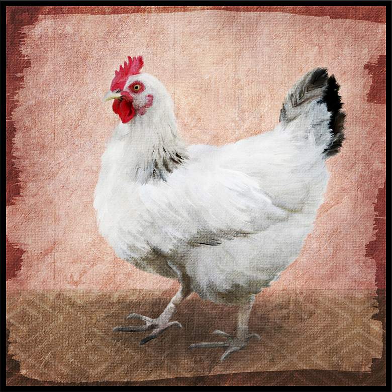 Image 1 Chickens Inverse 16 1/2 inch Square Framed Wall Art