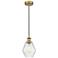 Cindyrella 6" Brushed Brass Mini Pendant w/ Seedy Shade